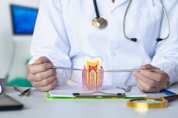 Best Orthodontic Emergency Dentist in Ashland, MO